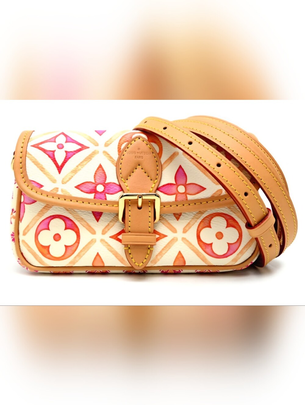 Louis Vuitton By The Pool Nano Diane